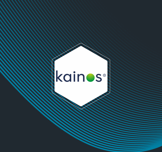kainos kainos logo